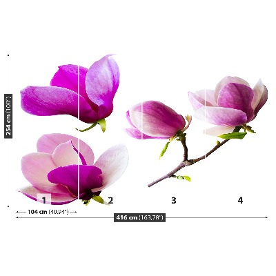 Stenska fototapeta Magnolija cvetje