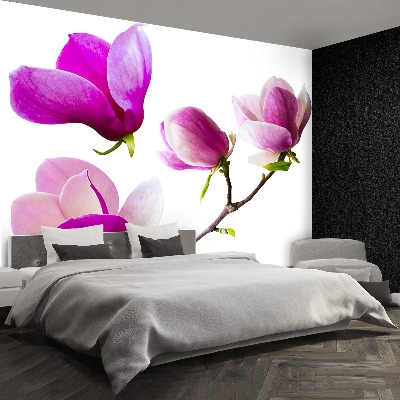 Stenska fototapeta Magnolija cvetje