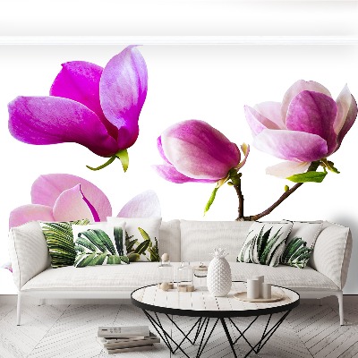 Stenska fototapeta Magnolija cvetje