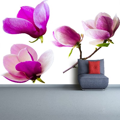 Stenska fototapeta Magnolija cvetje