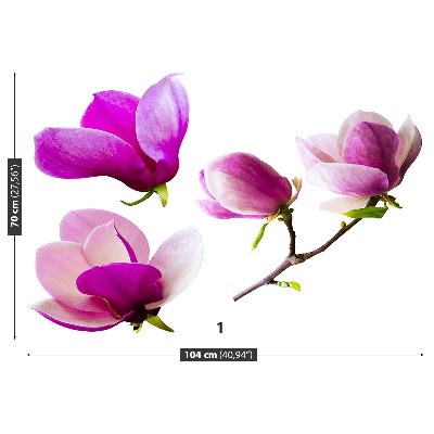 Stenska fototapeta Magnolija cvetje