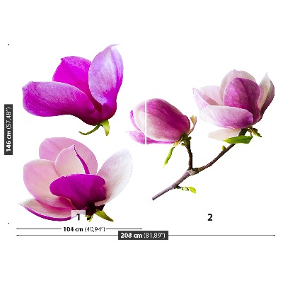 Stenska fototapeta Magnolija cvetje