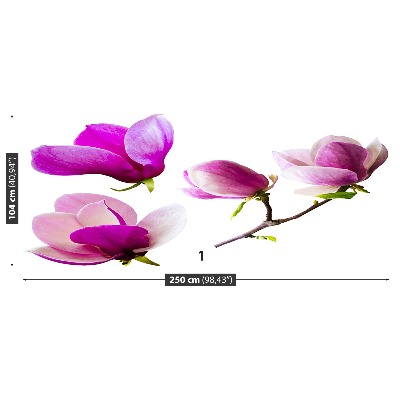 Stenska fototapeta Magnolija cvetje