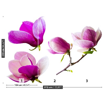 Stenska fototapeta Magnolija cvetje