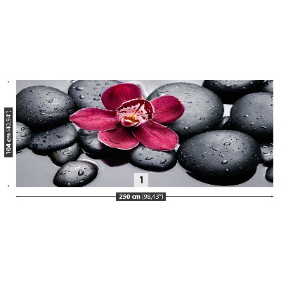 Stenska fototapeta Orhidej stones