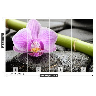 Stenska fototapeta Orhidej stones