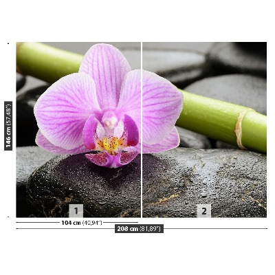 Stenska fototapeta Orhidej stones
