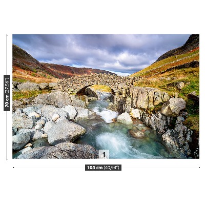 Fototapeta River bridge