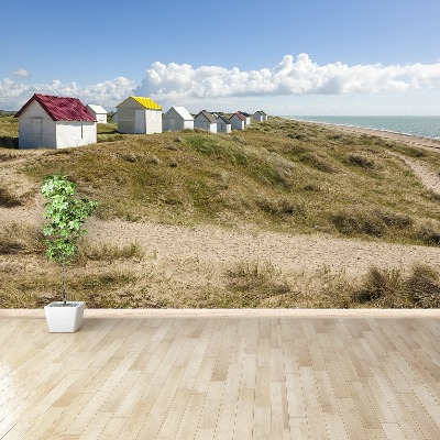 Fototapeta Beach dunes