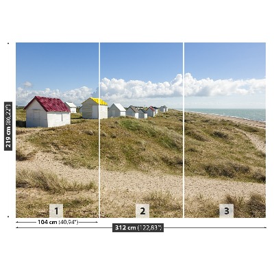 Fototapeta Beach dunes