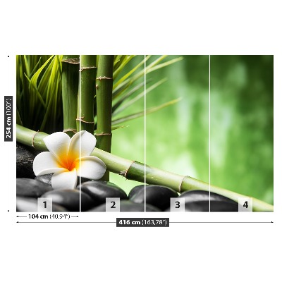 Stenska fototapeta Frangipani bamboo