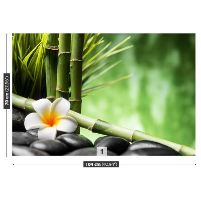 Stenska fototapeta Frangipani bamboo