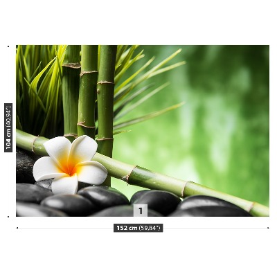 Stenska fototapeta Frangipani bamboo