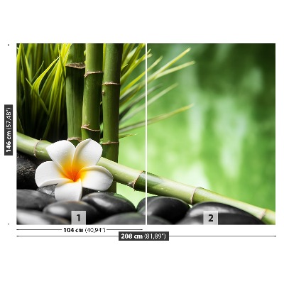 Stenska fototapeta Frangipani bamboo