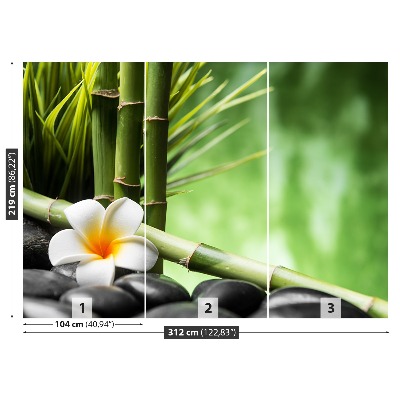 Stenska fototapeta Frangipani bamboo