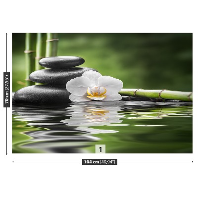 Stenska fototapeta Orchid in zen