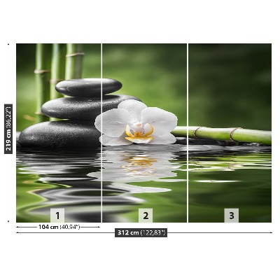 Stenska fototapeta Orchid in zen