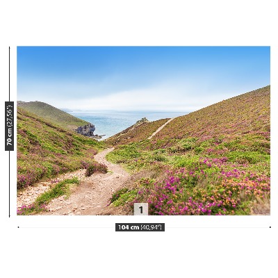 Fototapeta Atlantic cornwall