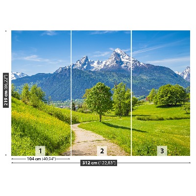 Fototapeta Poletje alpe