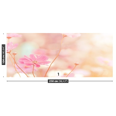 Stenska fototapeta Pink cosmos cvetje