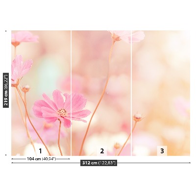 Stenska fototapeta Pink cosmos cvetje