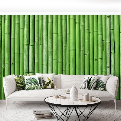 Stenska fototapeta Bamboo green