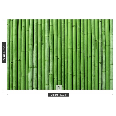 Stenska fototapeta Bamboo green