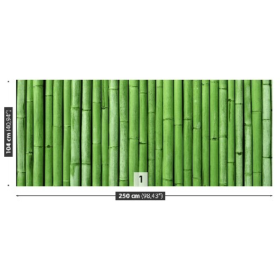 Stenska fototapeta Bamboo green