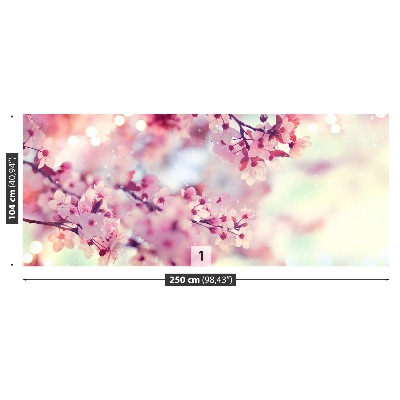 Stenska fototapeta Češnjevi cvetovi