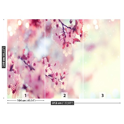 Stenska fototapeta Češnjevi cvetovi