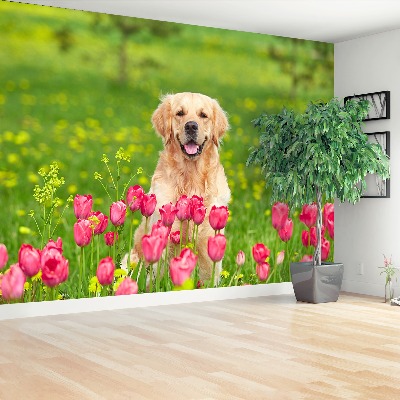 Stenska fototapeta Pes tulipani