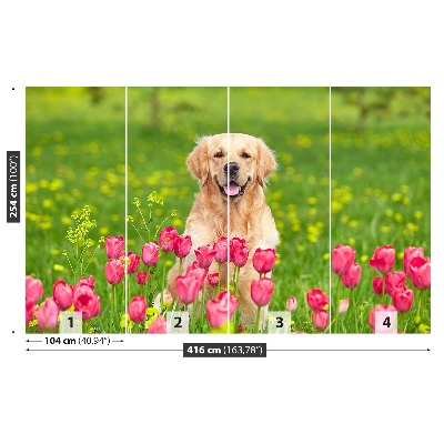 Stenska fototapeta Pes tulipani