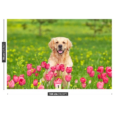 Stenska fototapeta Pes tulipani