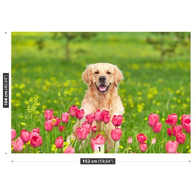 Stenska fototapeta Pes tulipani