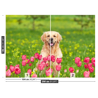 Stenska fototapeta Pes tulipani