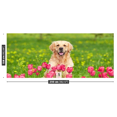 Stenska fototapeta Pes tulipani