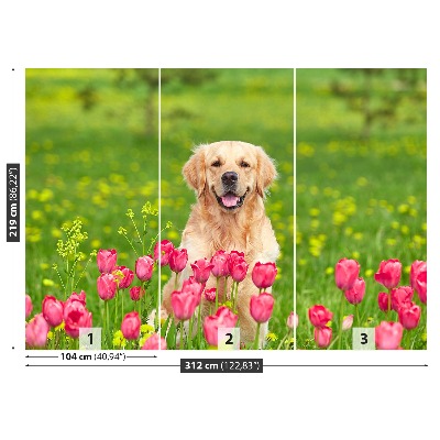 Stenska fototapeta Pes tulipani