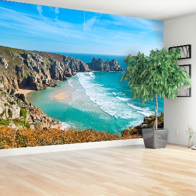 Fototapeta Cornish coast