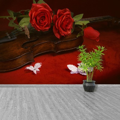 Stenska fototapeta Violina roses