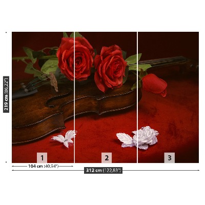 Stenska fototapeta Violina roses