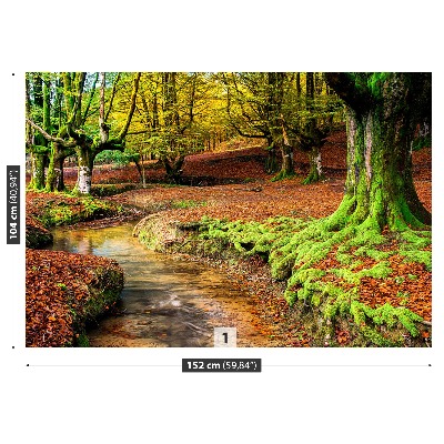 Stenska fototapeta Gozd v jeseni