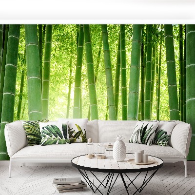 Stenska fototapeta Bambusa gozd