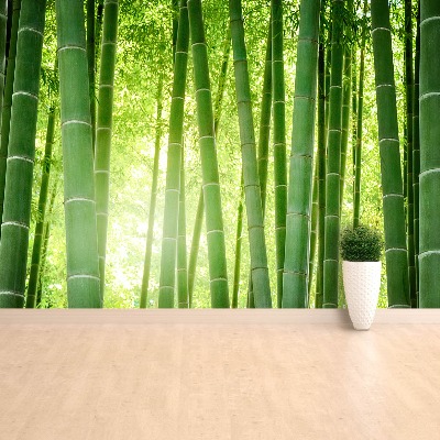 Stenska fototapeta Bambusa gozd
