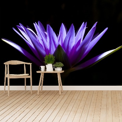 Stenska fototapeta Purple lotus