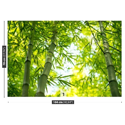 Stenska fototapeta Bamboo podružnica
