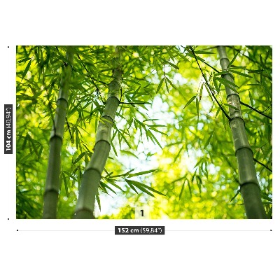 Stenska fototapeta Bamboo podružnica