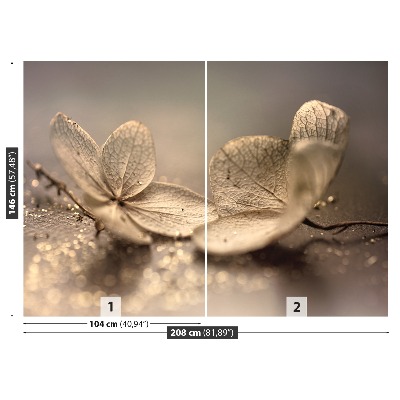 Stenska fototapeta Hydrangea beige