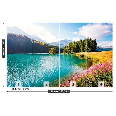 Stenska fototapeta Swiss alps