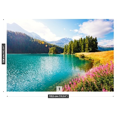 Stenska fototapeta Swiss alps