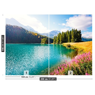 Stenska fototapeta Swiss alps